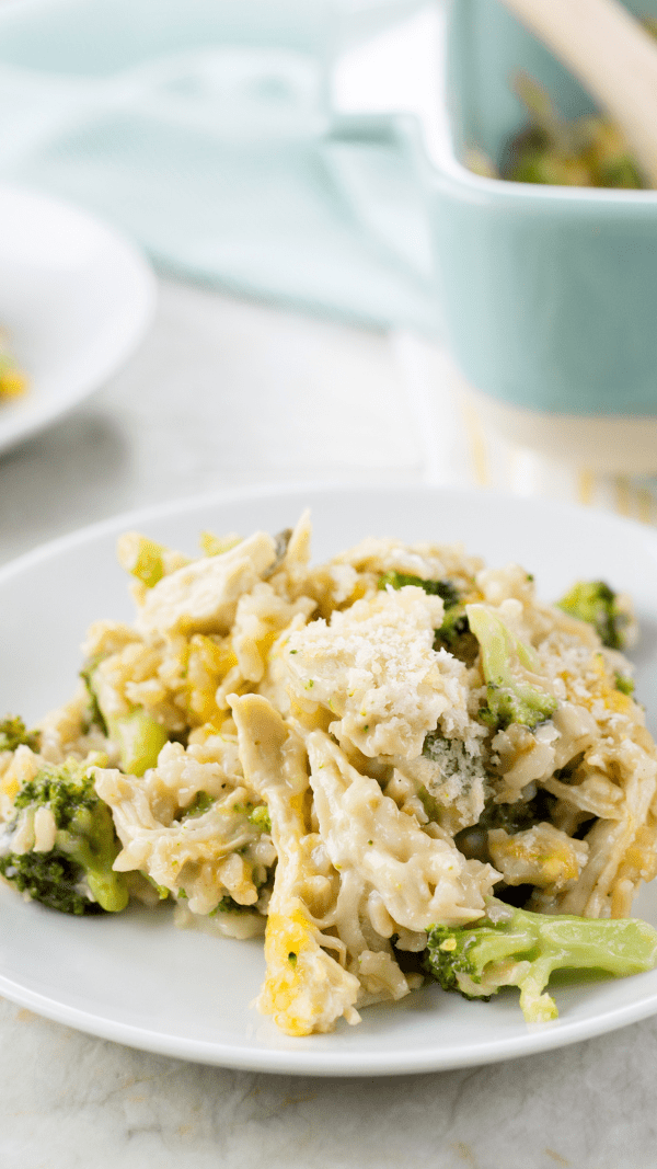 the best chicken and rice recipe close up shot