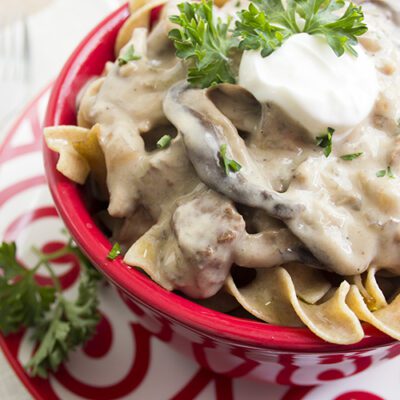 beef stroganoff up close horizontal shot
