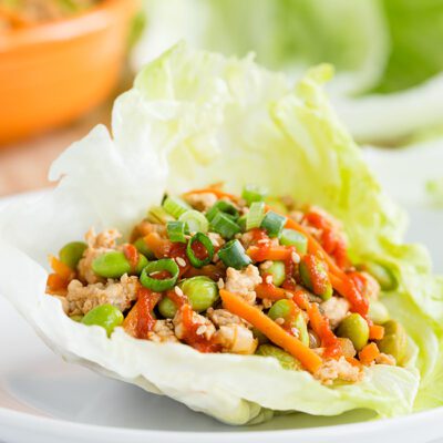 Asian Turkey Lettuce Wraps
