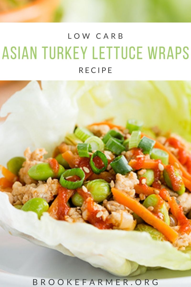 Asian Turkey Lettuce Wraps | Low Carb