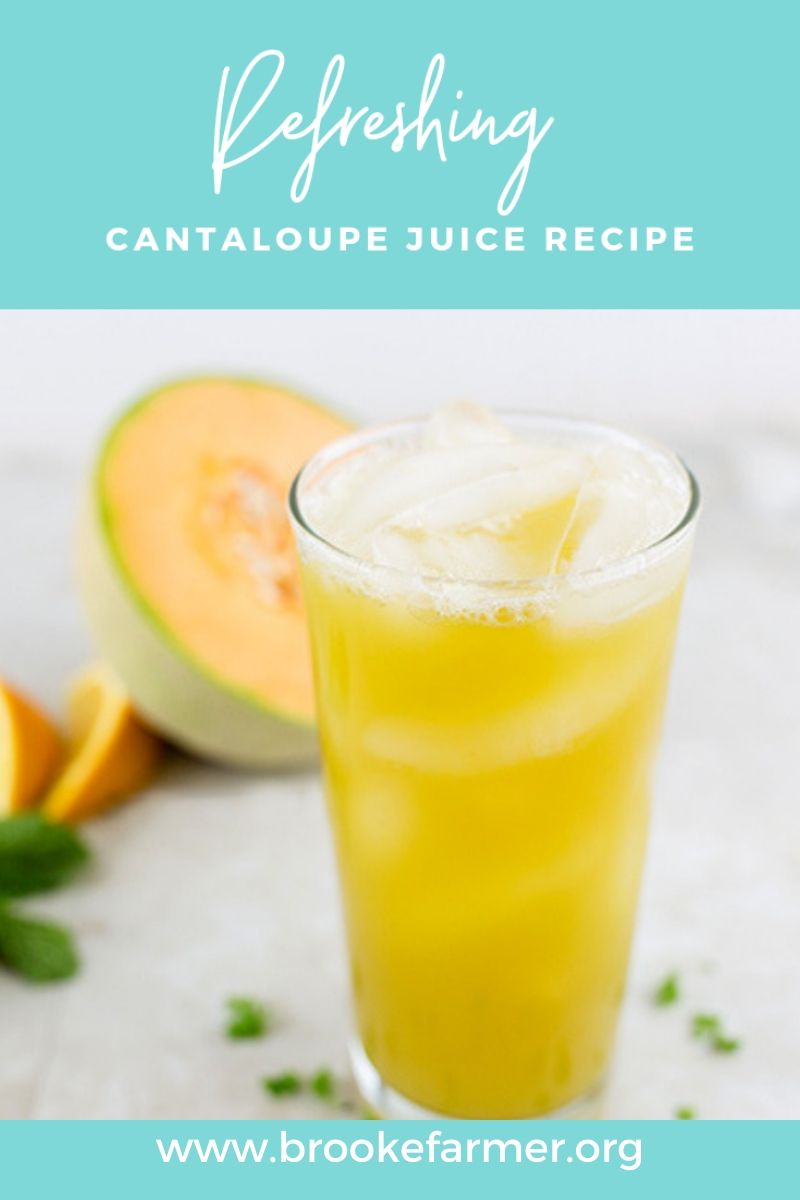Pintrest Image of Cantaloupe Juice