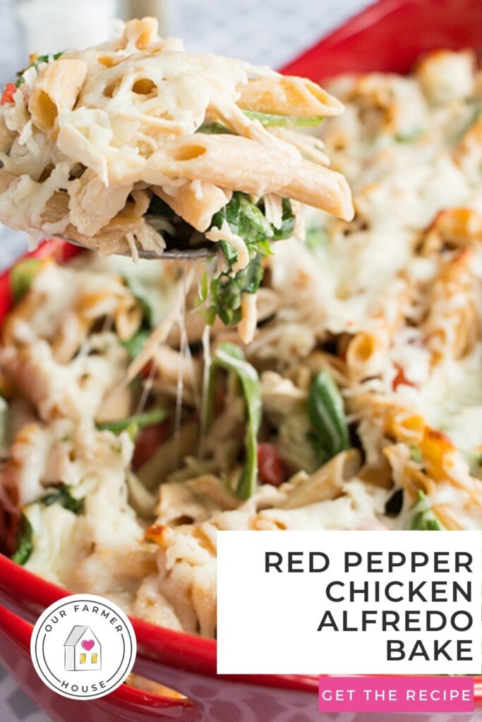 Easy roasted red pepper chicken alfredo bake