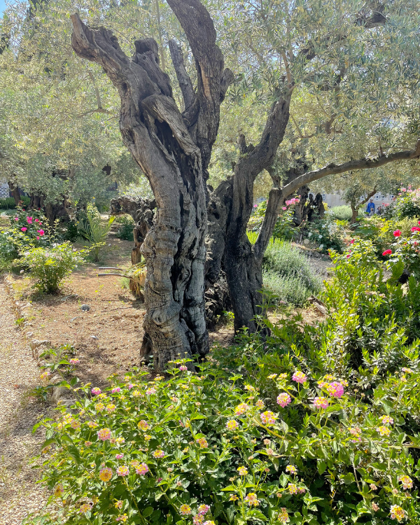 best things to do in Israel