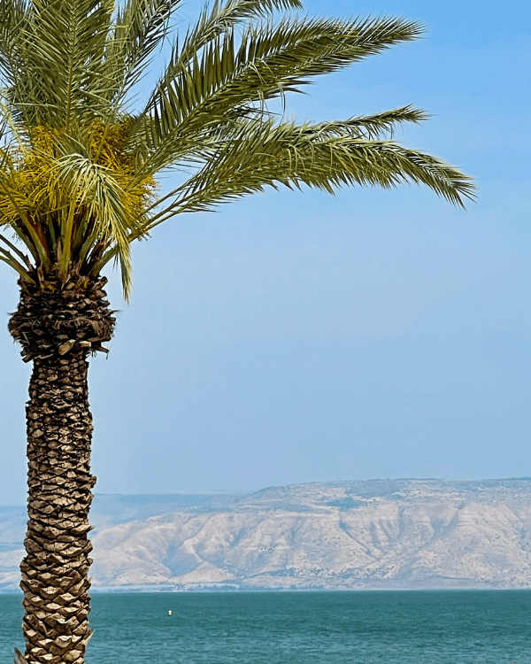 Sea of Galilee