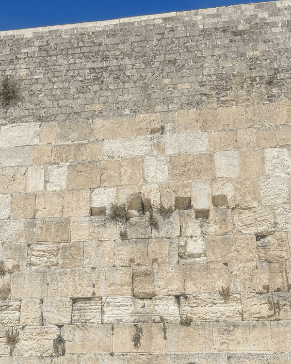 best things to do in Israel