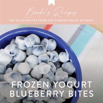 Frozen Yogurt Blueberry Bites