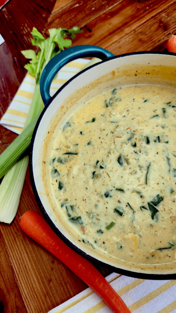 Easy Chicken Gnocchi Soup