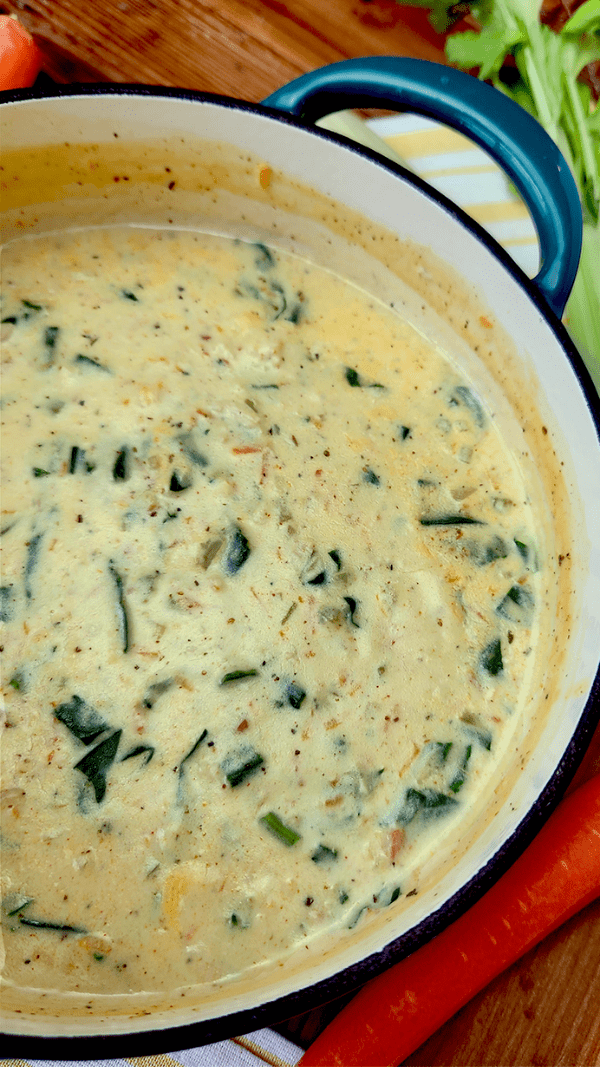 Easy Chicken Gnocchi Soup