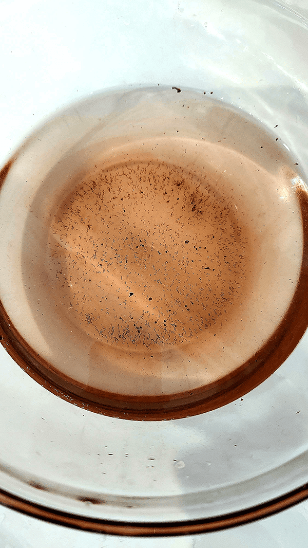 how to properly wash produce