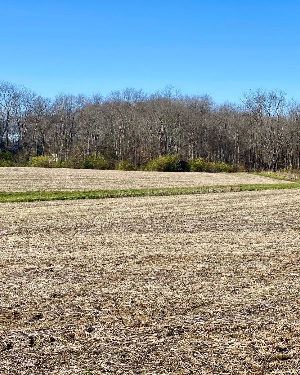 Buy Land for Your Dream Home