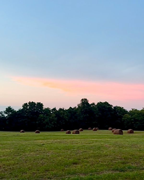 how to buy land for your dream home